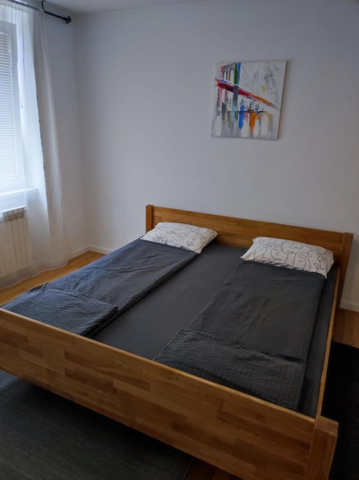 Dino'S Spacious Place Сараєво Екстер'єр фото